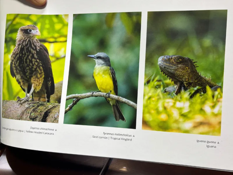 javeriana-librocop16-biodiversidad-cali