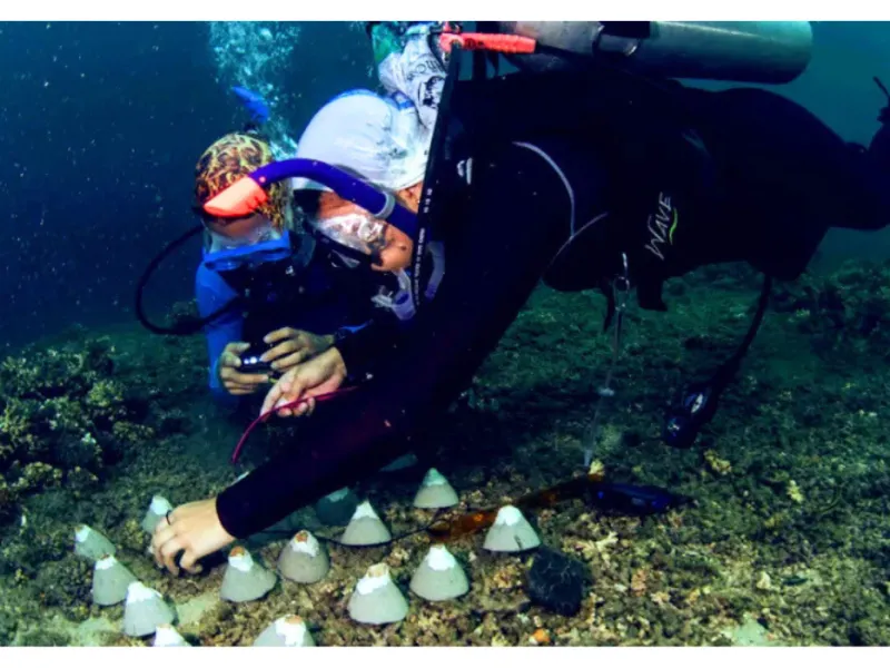 Colombia, ante el reto de restaurar el 30% de sus ecosistemas degradados